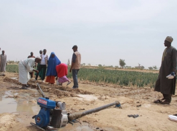 How Communities are Benefiting from WFP Livelihood Activities in #Bade