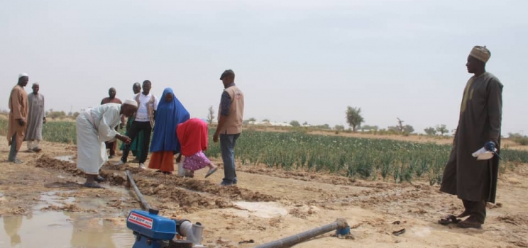 How Communities are Benefiting from WFP Livelihood Activities in #Bade