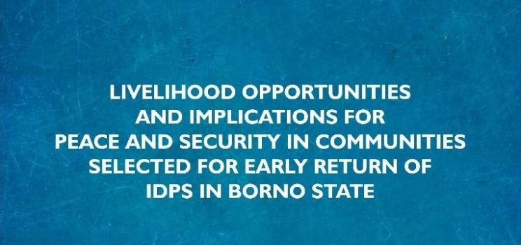 New Study by CCDRN Identifies Livelihood Opportunities for Returning Communities in Borno state